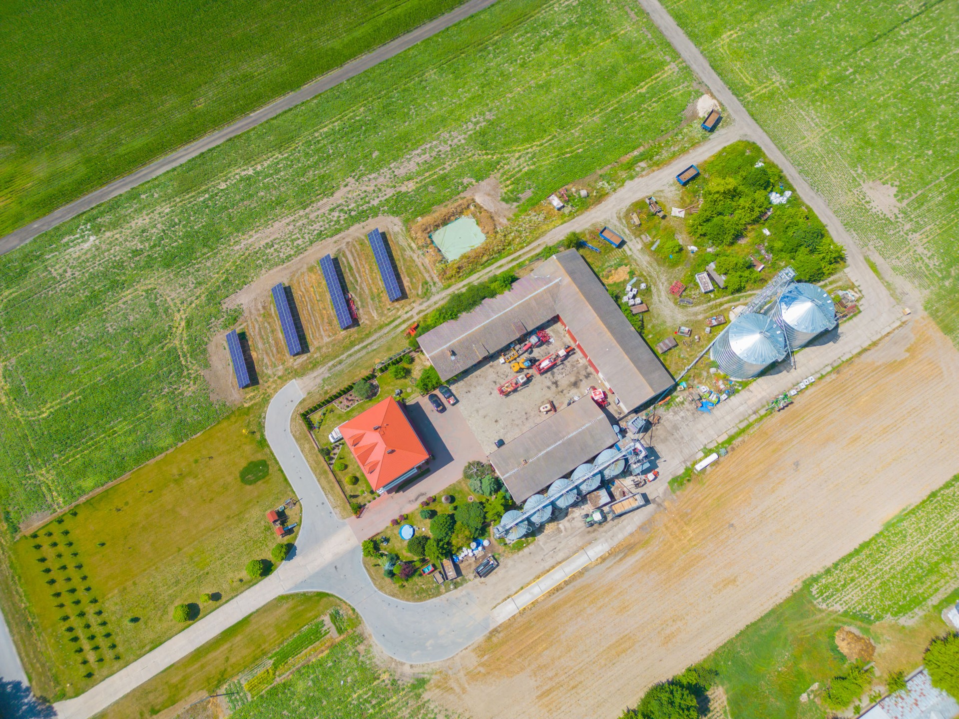 Aerial view of farm, red barns, corn field in September. Harvest season. Rural landscape, american countryside. Sunny morning